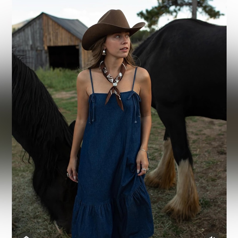 Cowgirl Denim Dress
